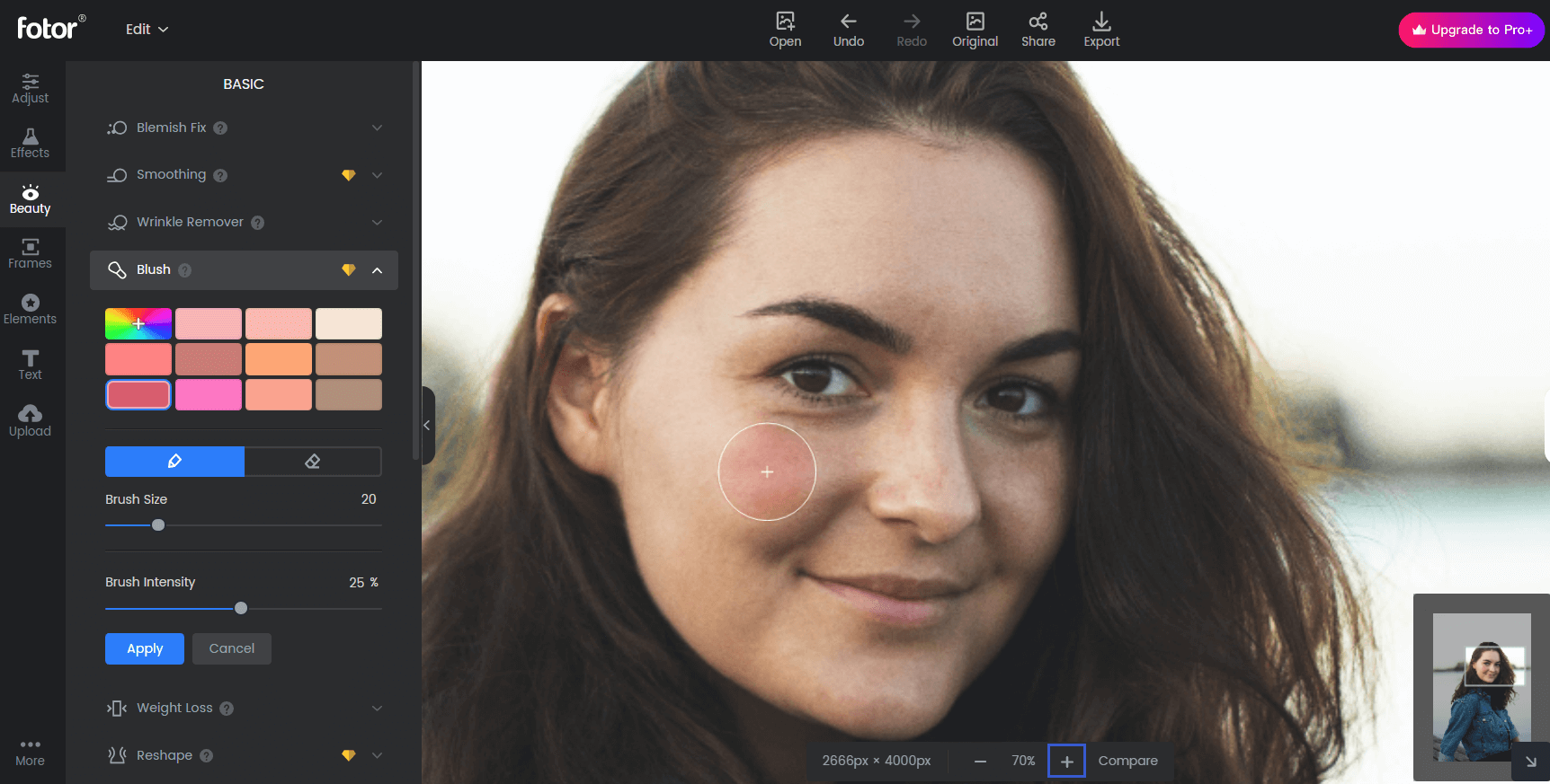 how to use paintbrush in fotor photo editor