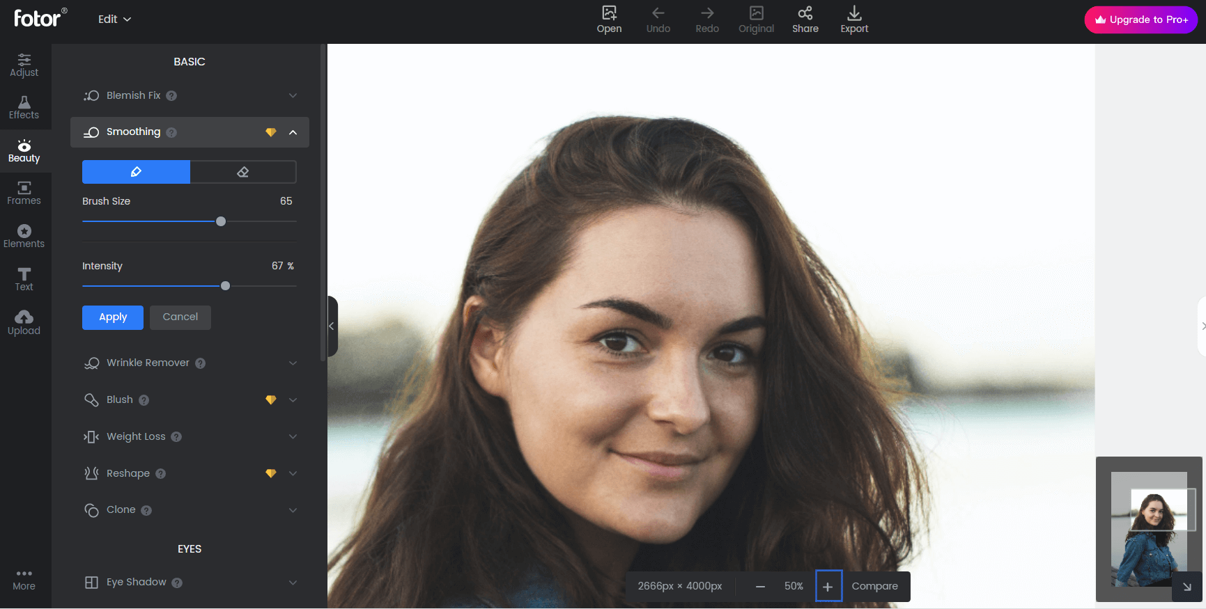 Fotor 4.6.6 download the last version for mac